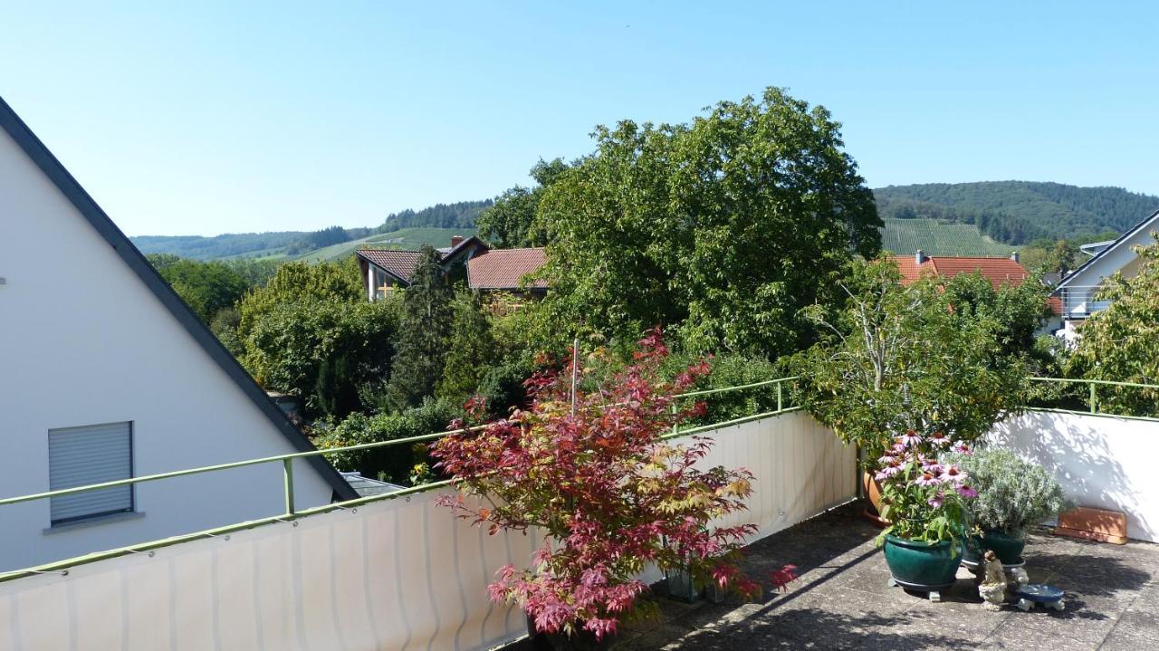 Apartamento Eifelidylle Am Moselmaareradweg Wittlich Exterior foto
